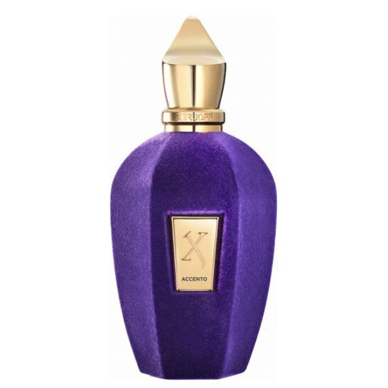 Xerjoff Unisex Accento EDP Spray 3.4 oz (Tester)